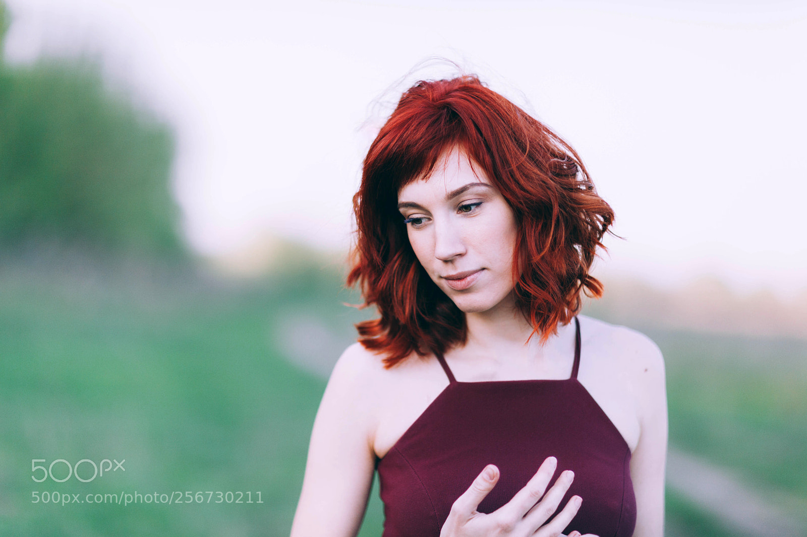 Canon EOS 5D Mark II sample photo. Untitled photography