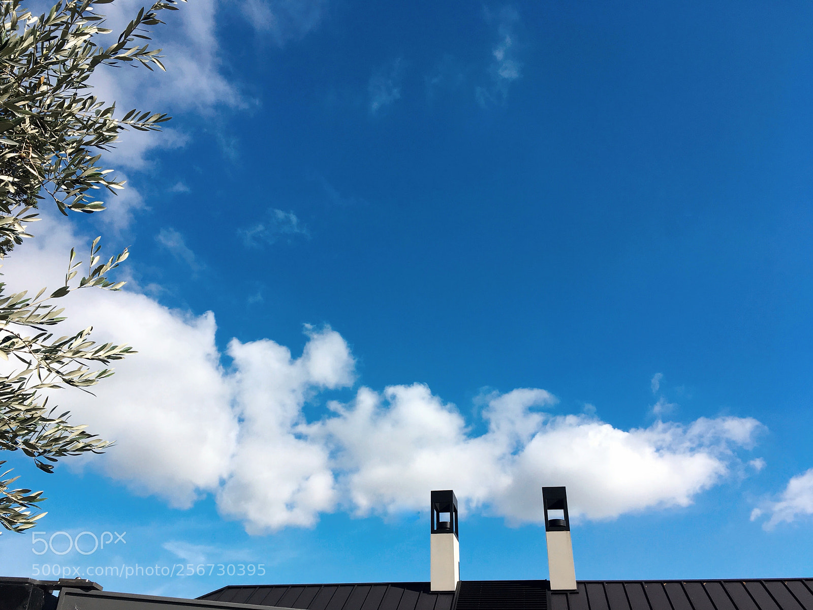 Apple iPhone SE sample photo. Cloud photography