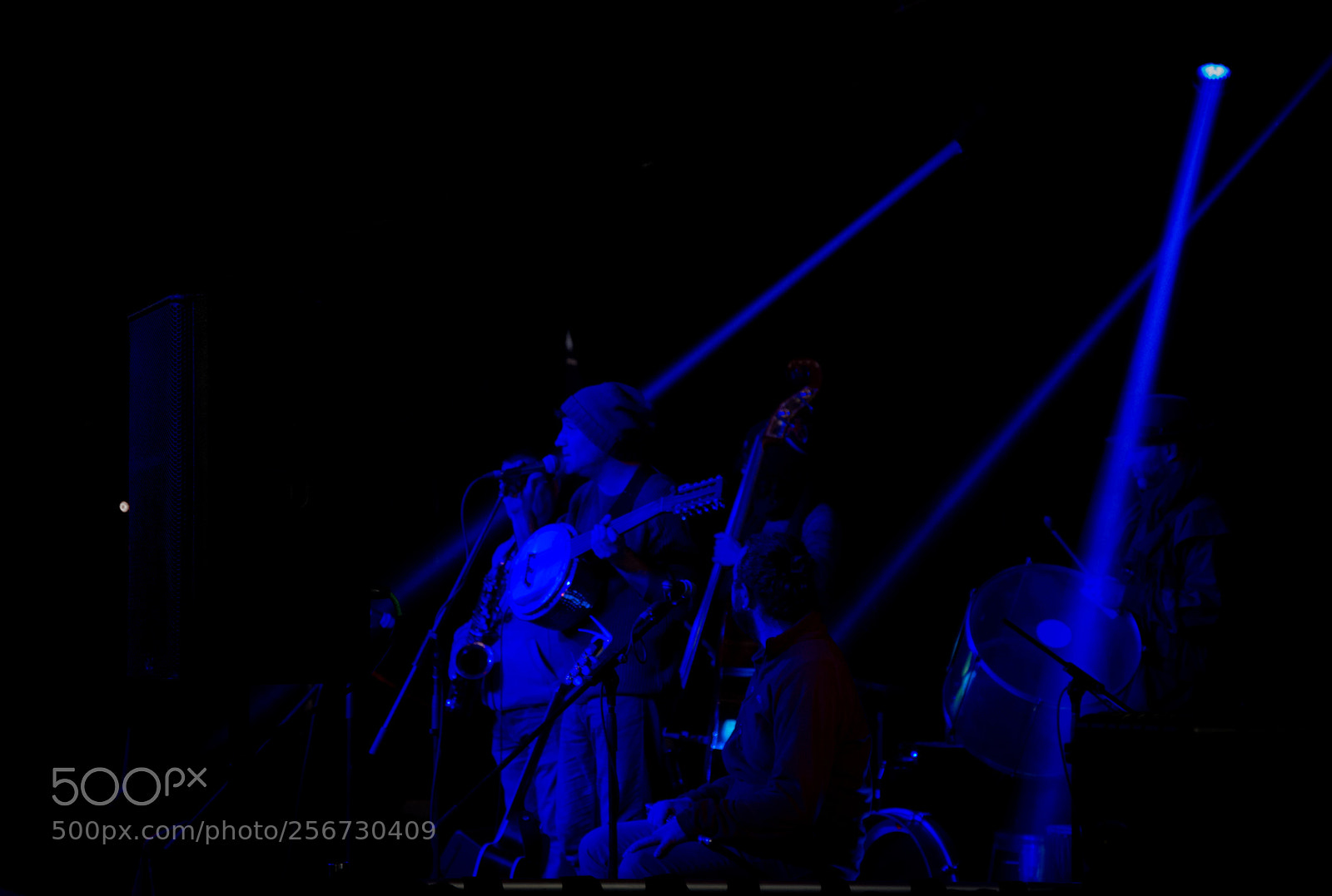 Nikon D600 sample photo. Gig exp photography