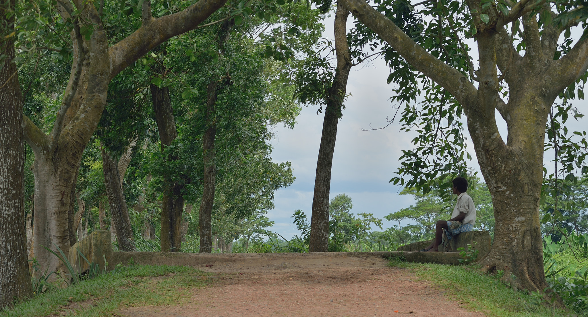 Nikon D3300 sample photo