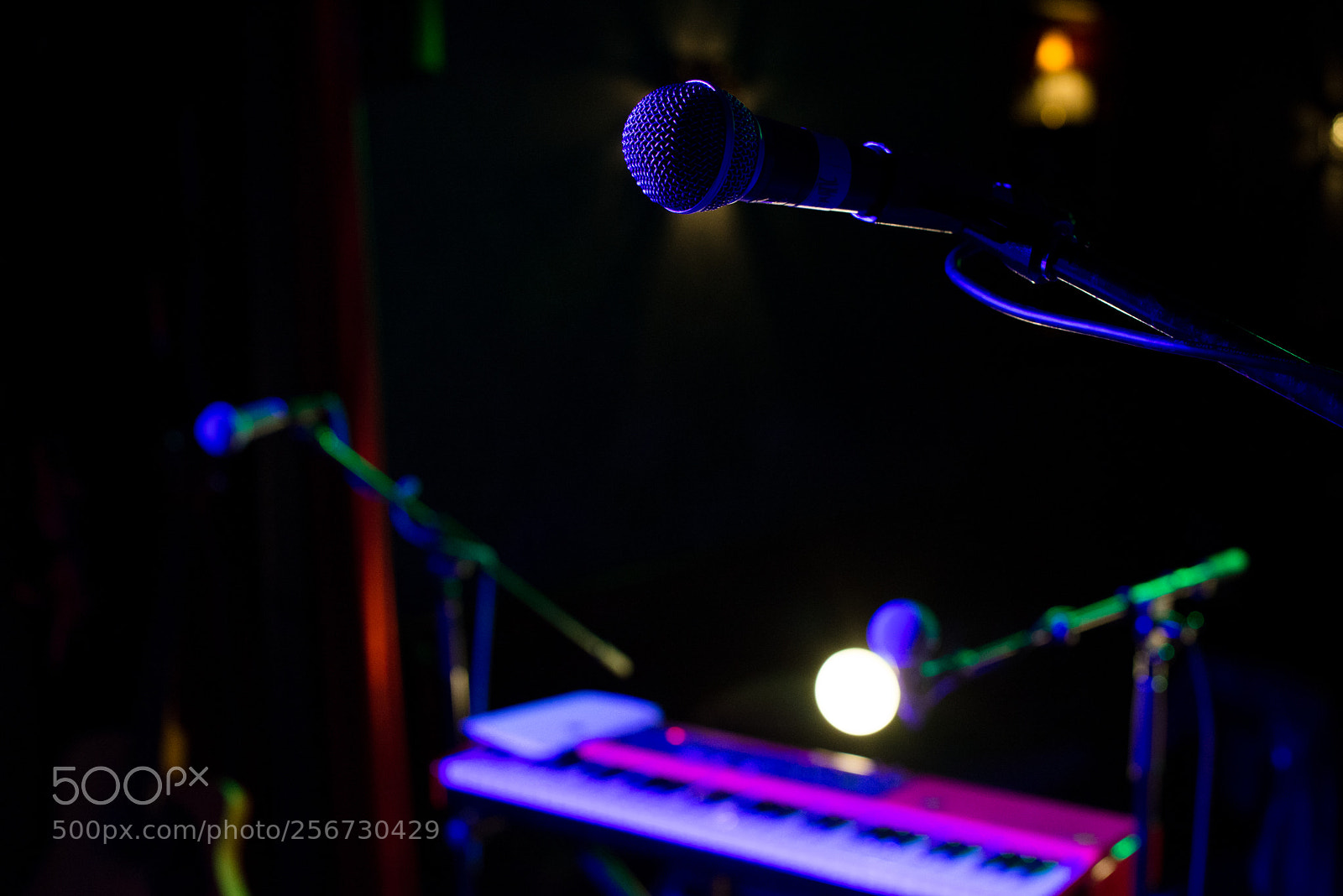 Nikon D600 sample photo. Gig exp photography