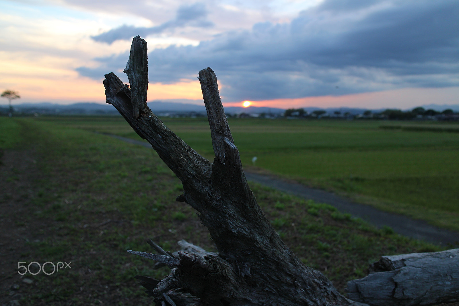 Canon EOS M sample photo. Img photography