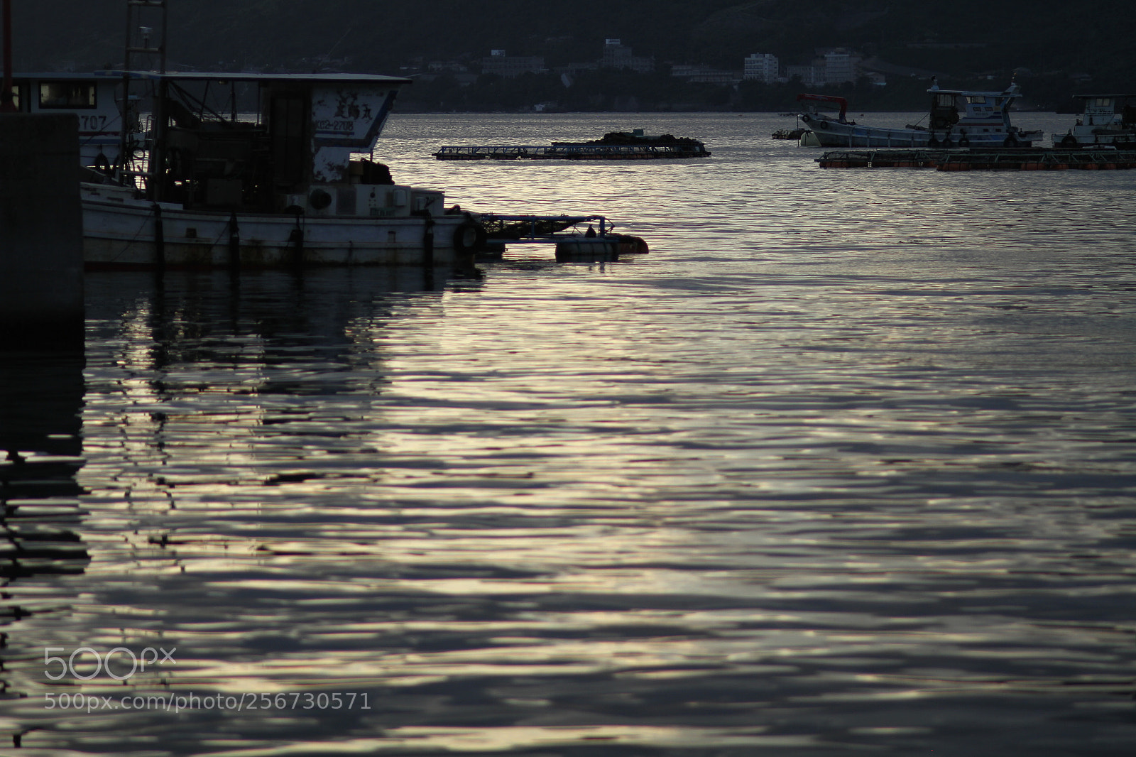 Canon EOS 7D + Canon EF 50mm F1.8 II sample photo. Img photography