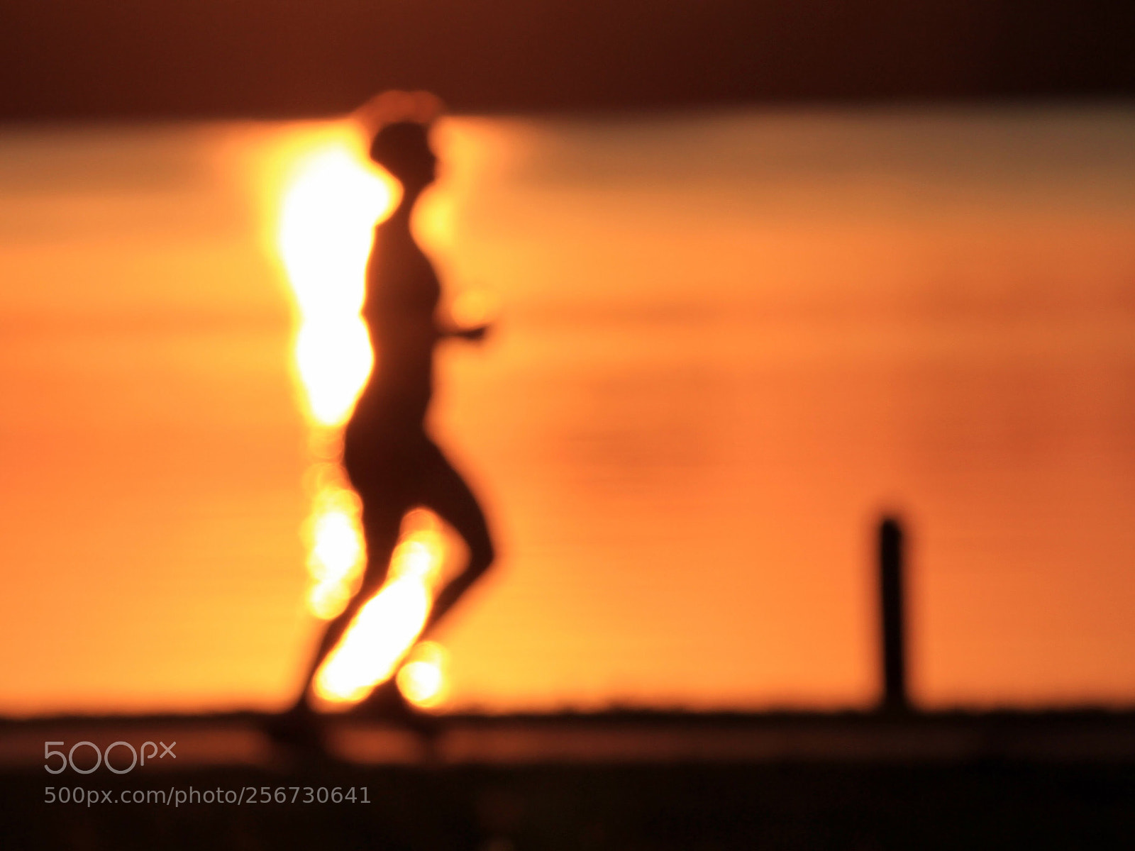 Canon EOS 7D sample photo. Untitled photography