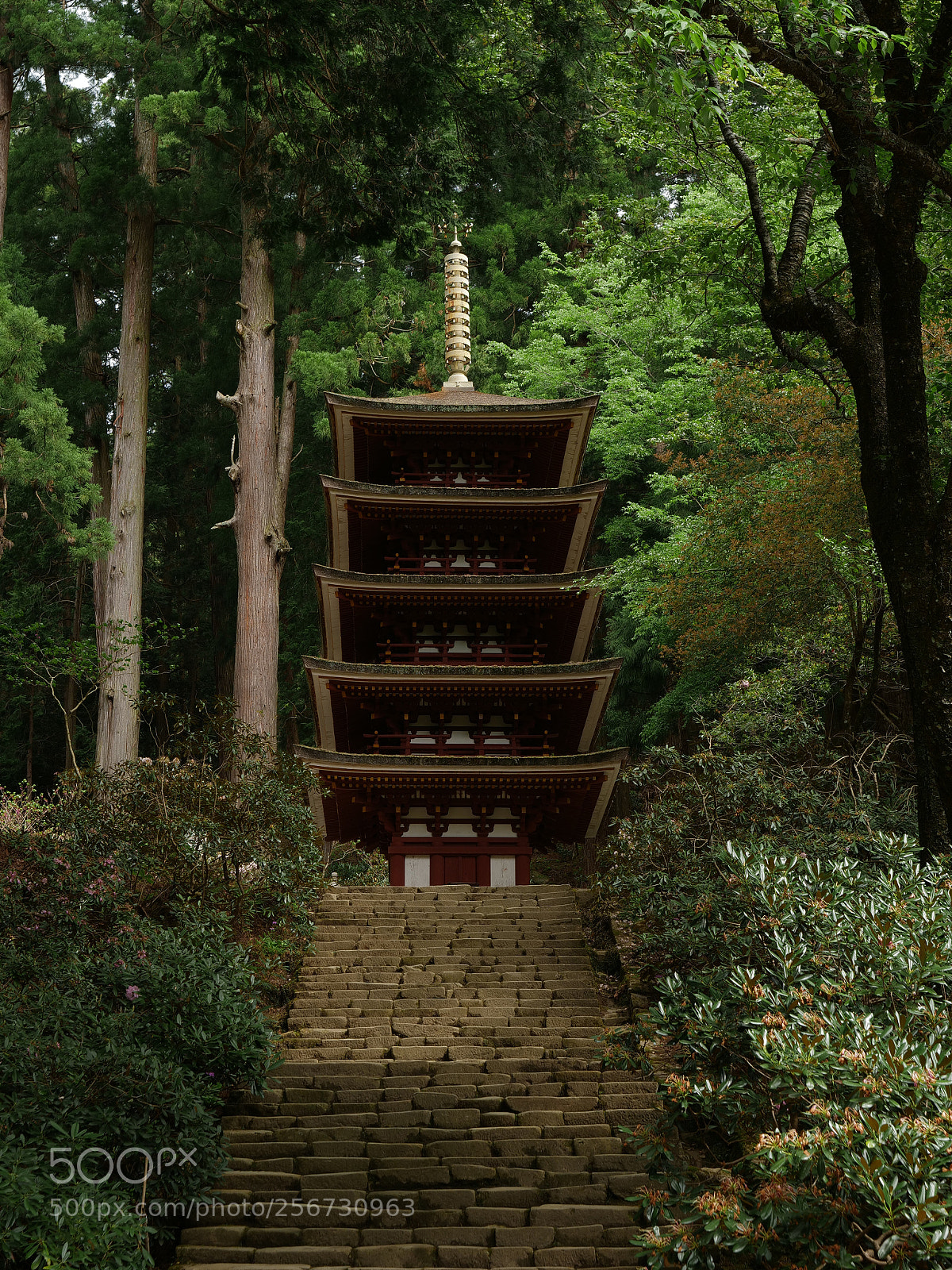 Panasonic Lumix DC-GH5 sample photo. Pagoda in the forest photography