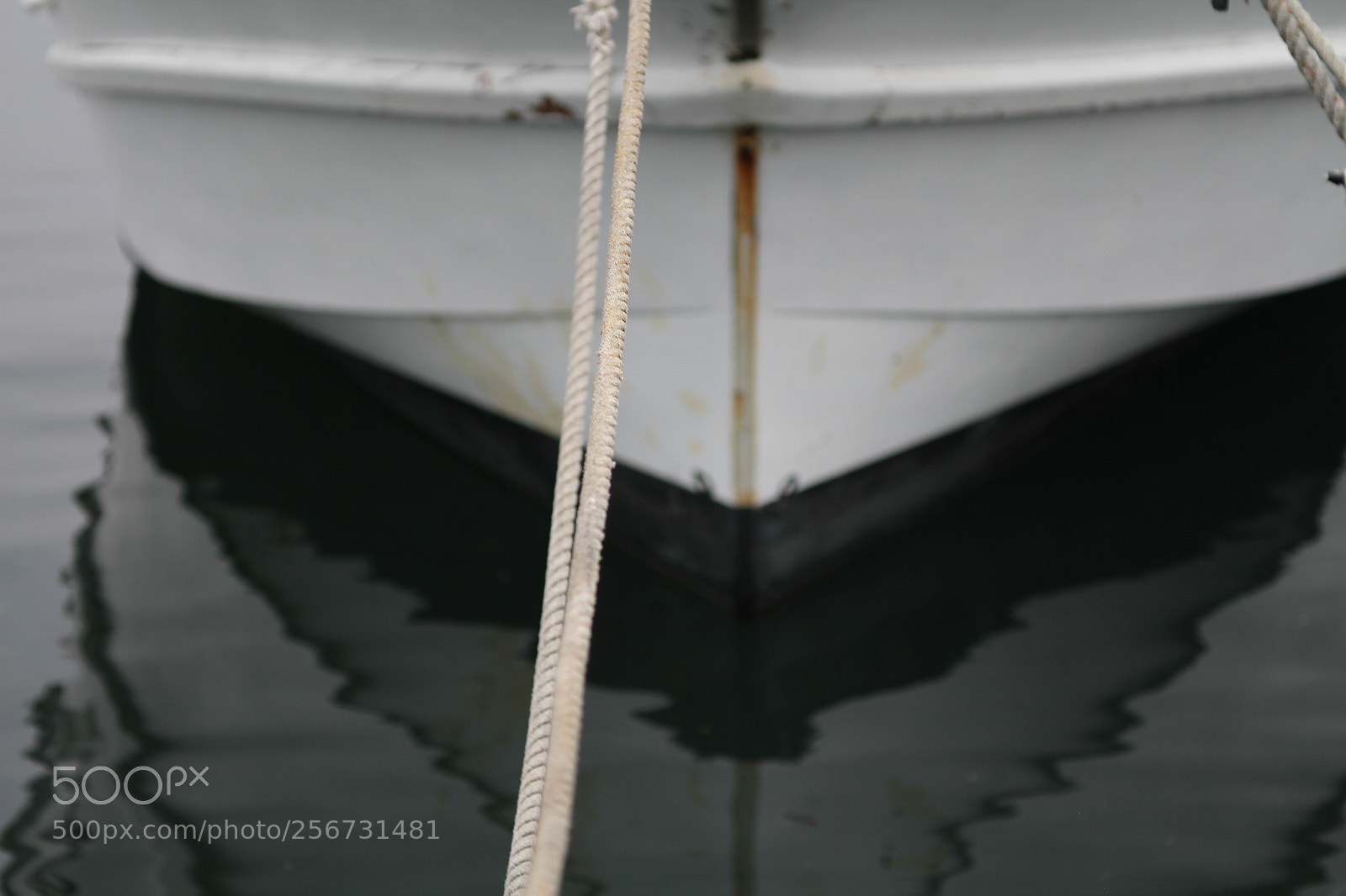 Canon EOS 7D + Canon EF 50mm F1.8 II sample photo. Img photography
