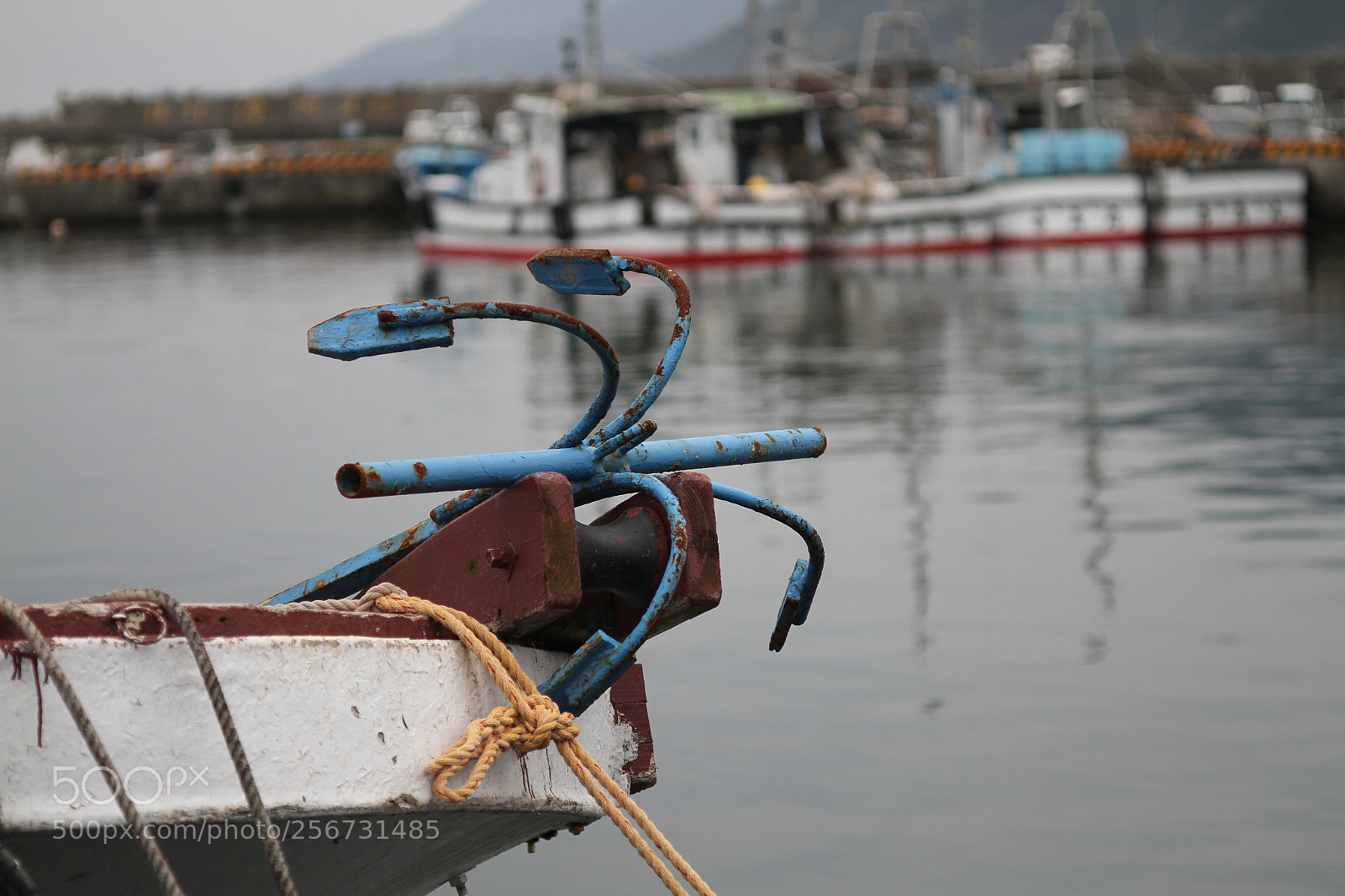 Canon EOS 7D + Canon EF 50mm F1.8 II sample photo. Img photography