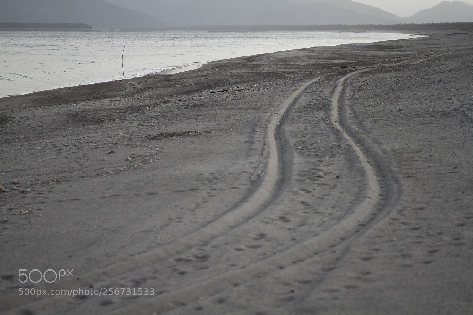 Canon EOS 7D + Canon EF 50mm F1.8 II sample photo. Img photography