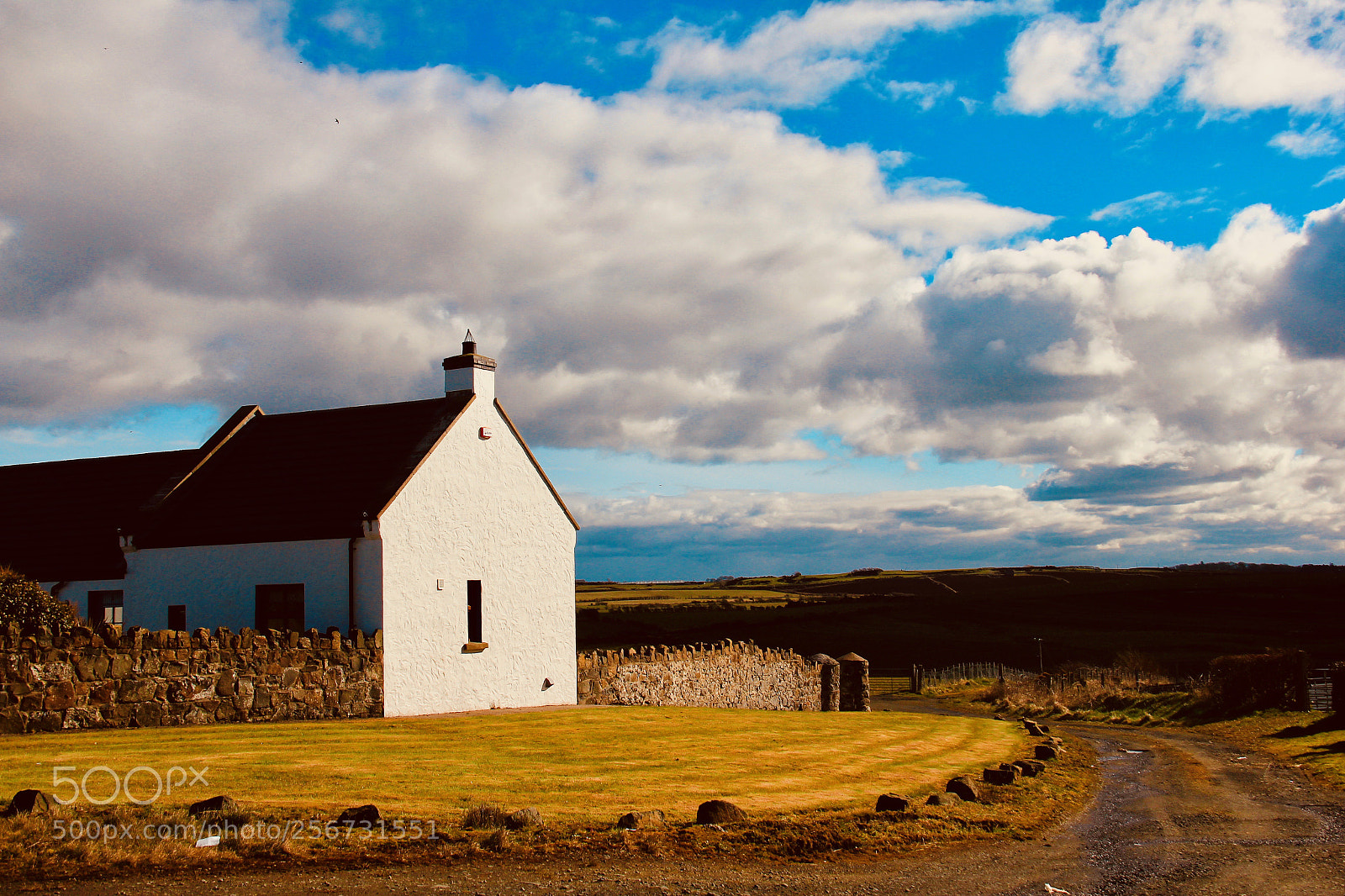 Canon EOS 550D (EOS Rebel T2i / EOS Kiss X4) sample photo. House in a sunny photography