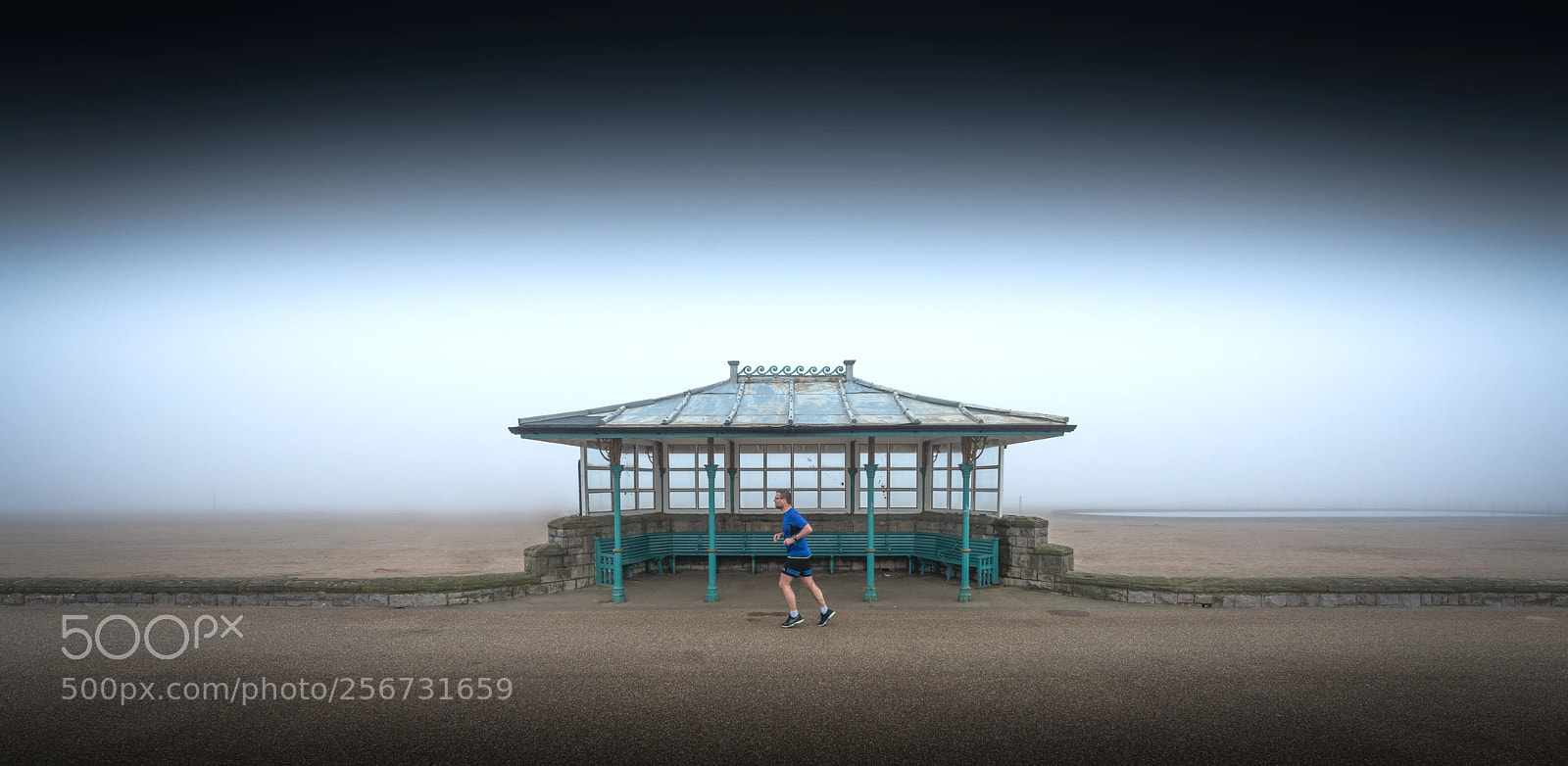 Nikon D800 sample photo. Shelter photography
