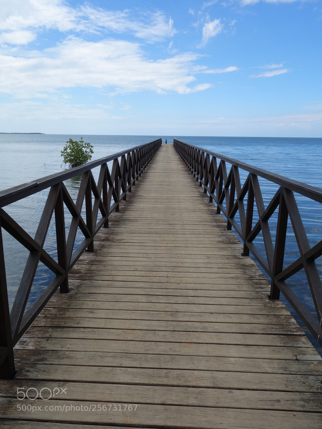 Sony Cyber-shot DSC-RX100 sample photo. Way to horizon photography