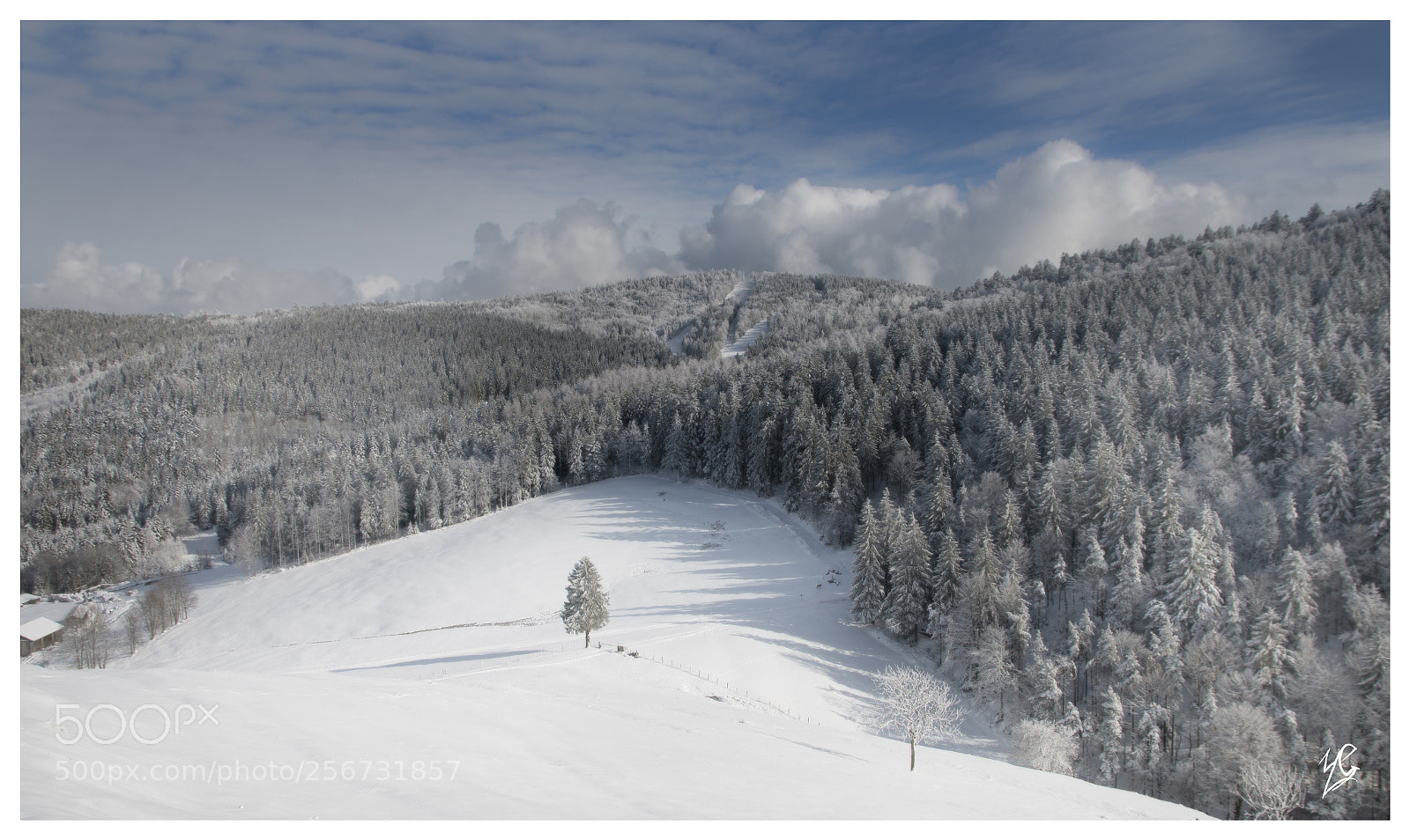 Canon EOS 70D sample photo. Vosges photography