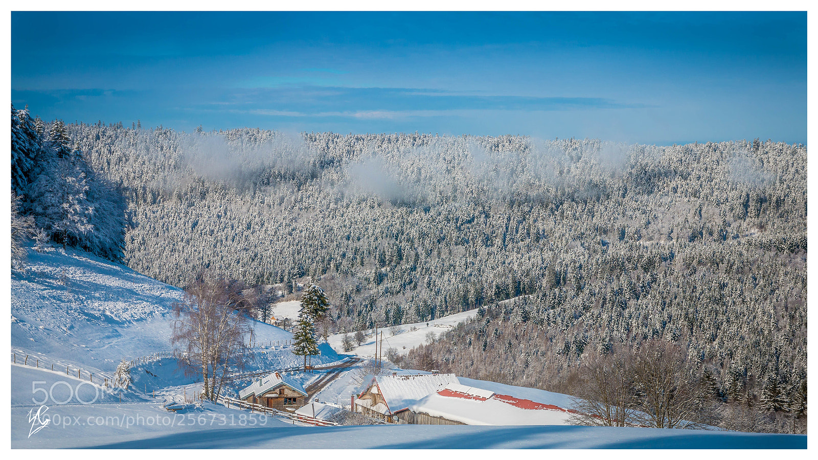 Canon EOS 70D sample photo. Vosges photography