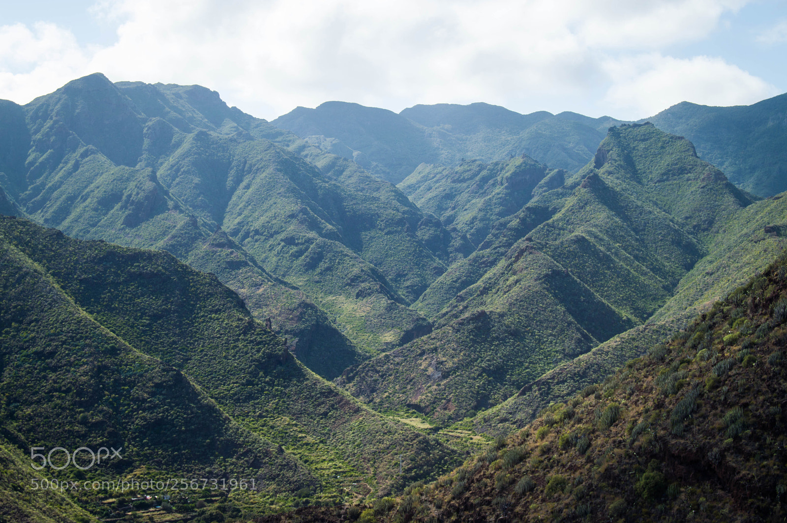 Nikon D3200 sample photo. Anaga, tenerife photography