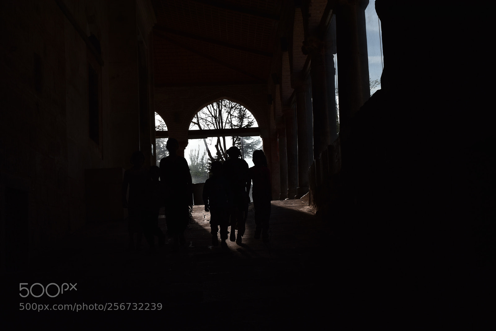 Nikon D5500 sample photo. Silhouettes in antique mosque photography