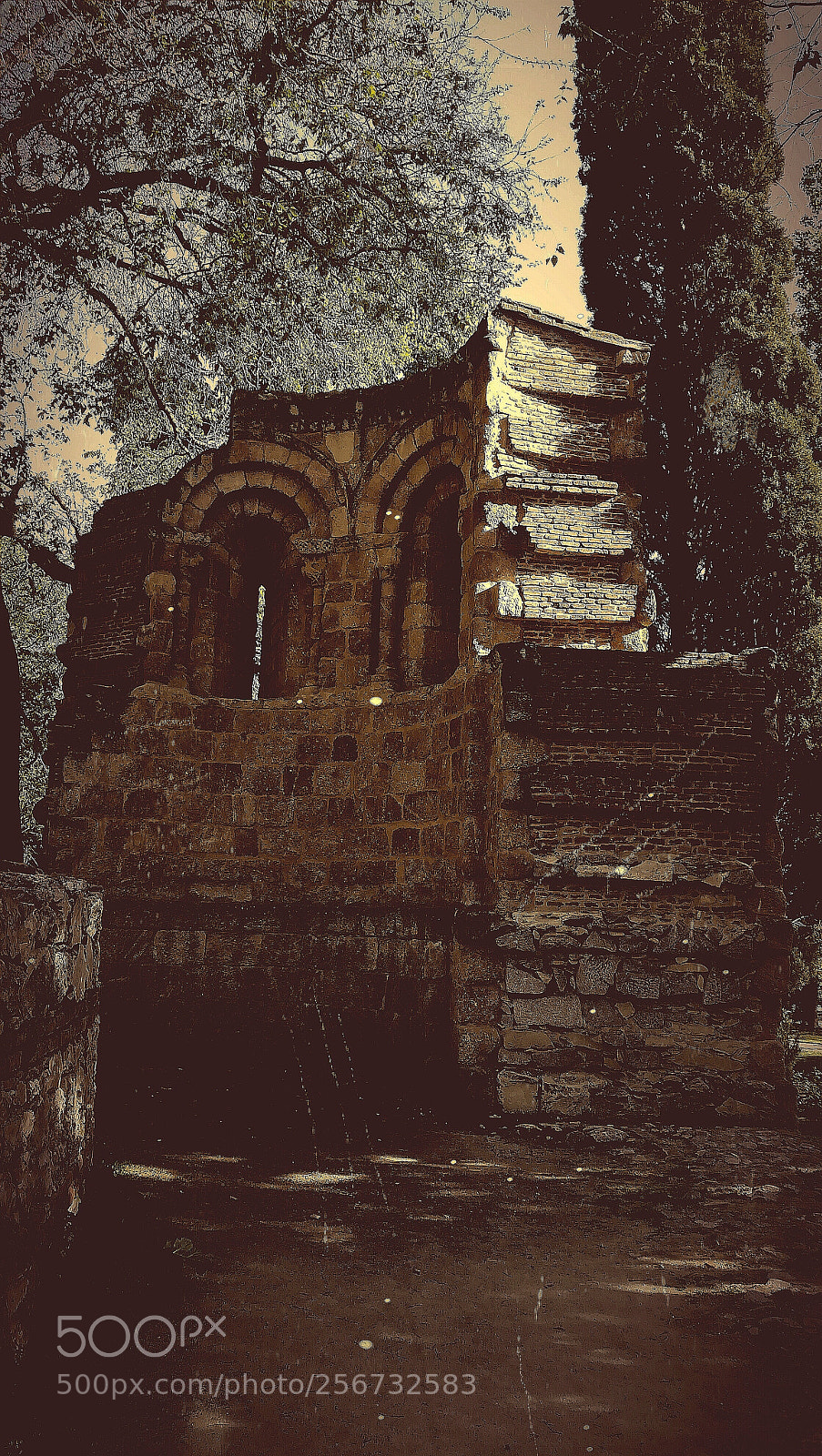 HUAWEI PRA-LX1 sample photo. Sic transit gloria mundi... photography