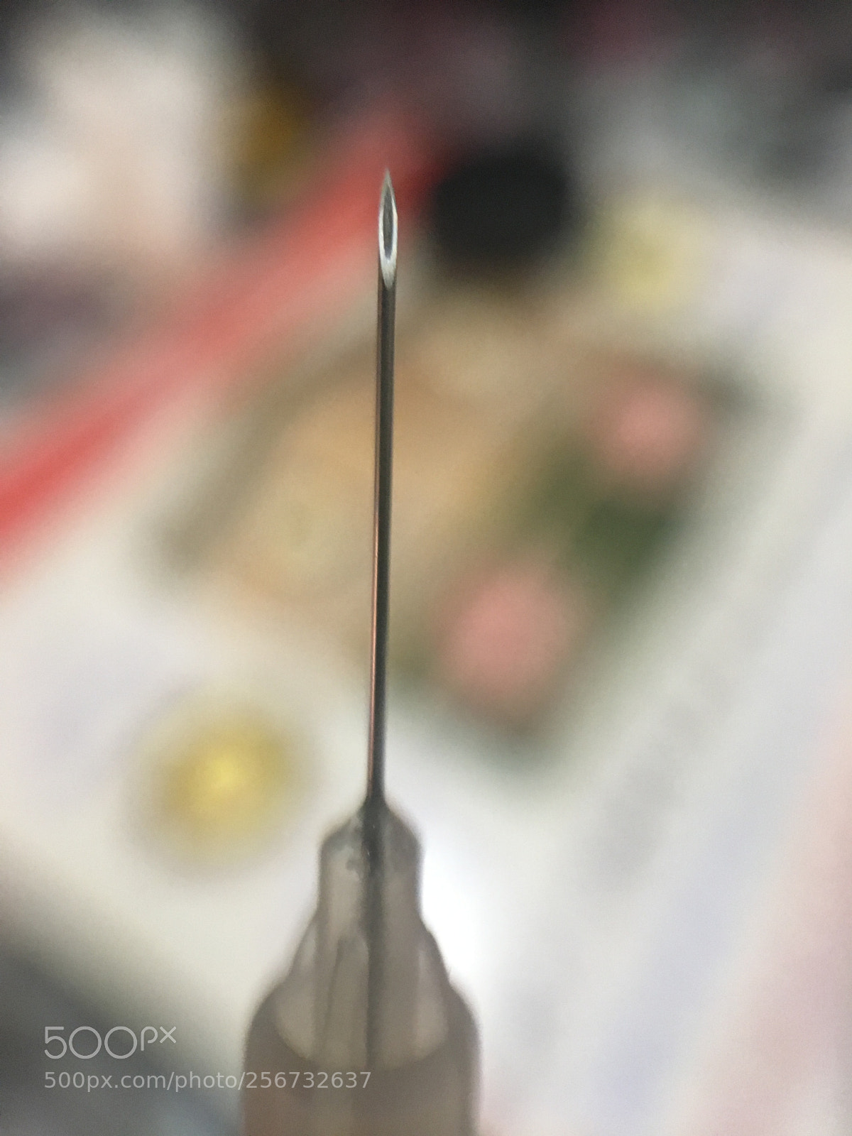 Apple iPhone 6s sample photo. Img photography