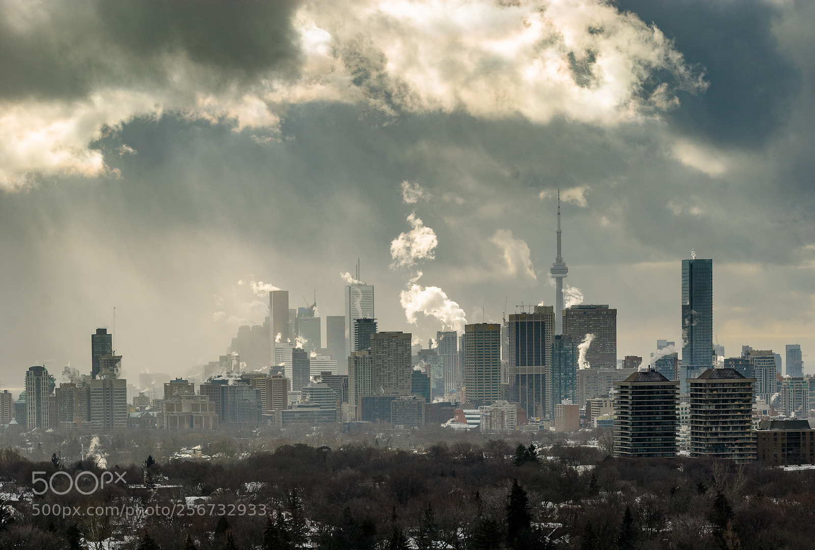 Nikon D80 sample photo. Toronto skyline, january photography