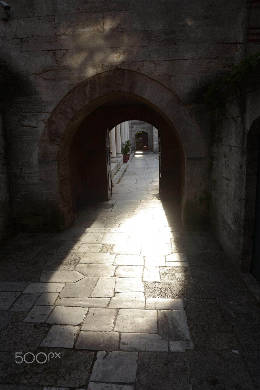 Nikon D7100 sample photo. Img photography