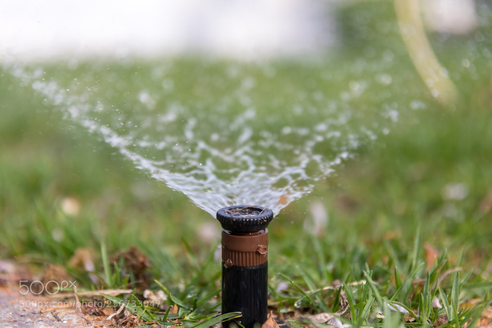 Canon EOS 5D Mark IV sample photo. Sprinkler head photography
