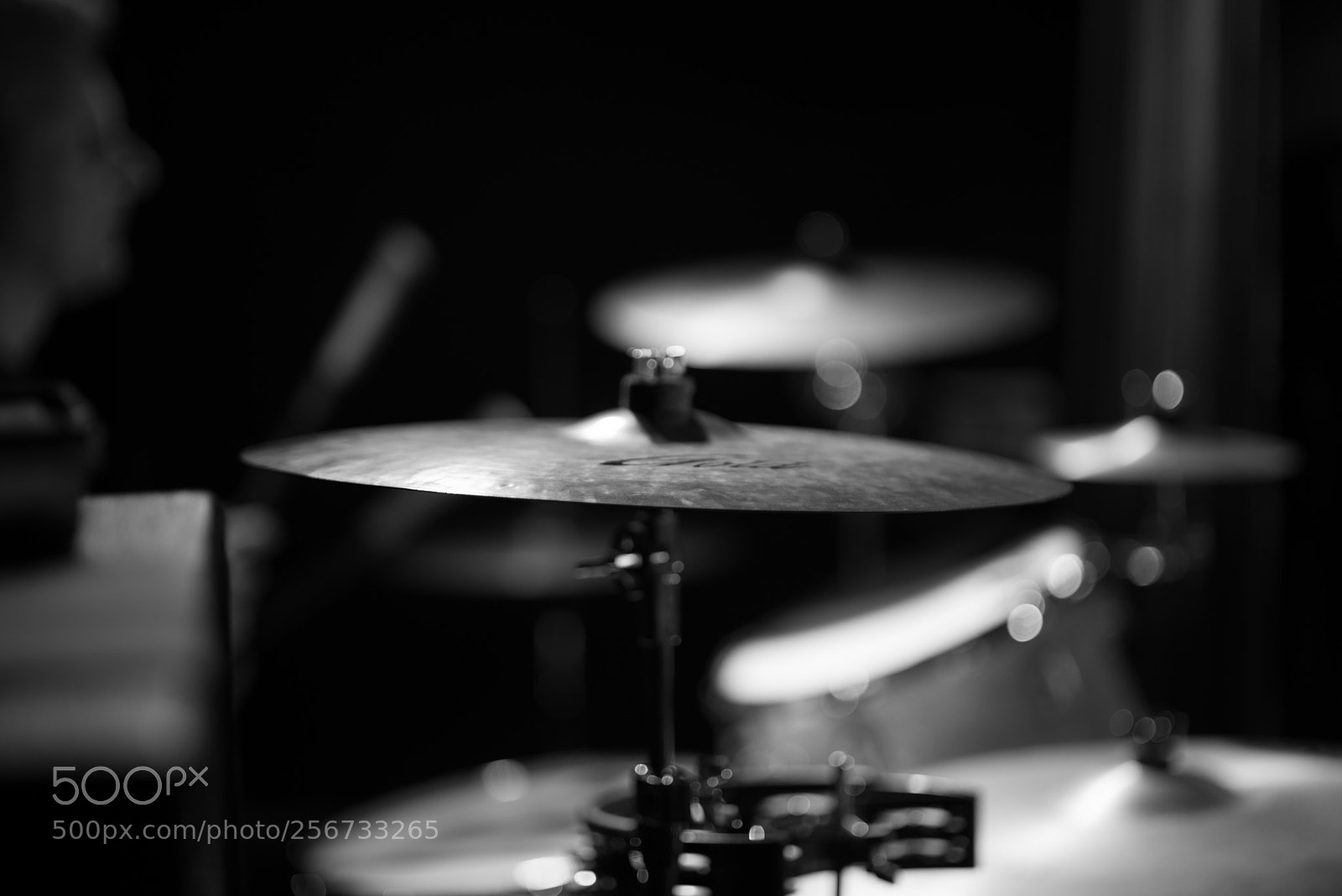 Nikon D600 sample photo. Gig exp photography