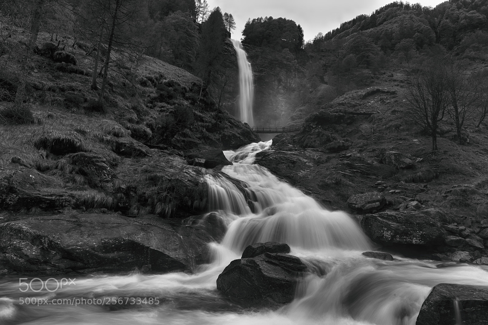 Canon EOS-1D X sample photo. Sonogno photography