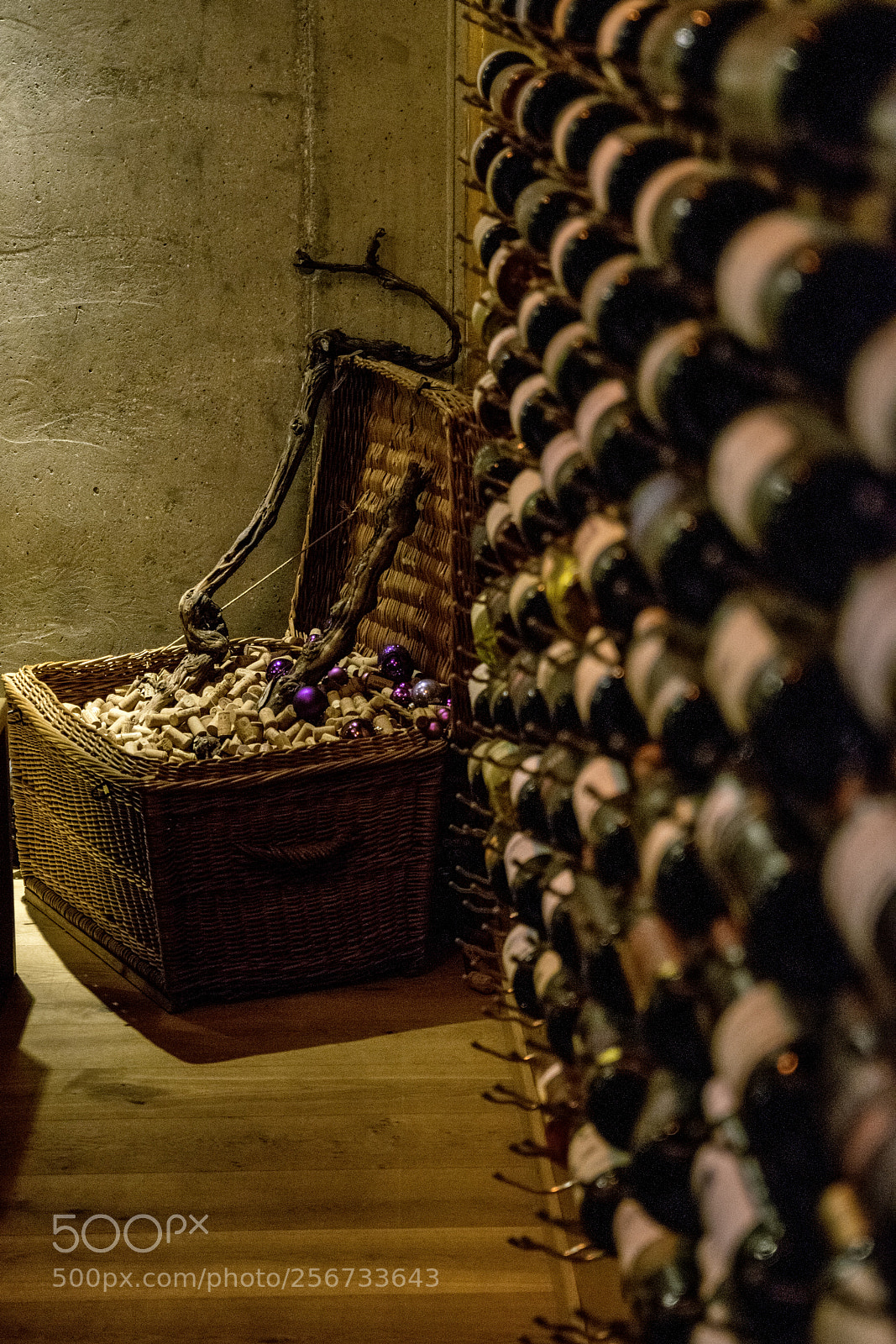 Nikon D3300 sample photo. In vino veritas photography