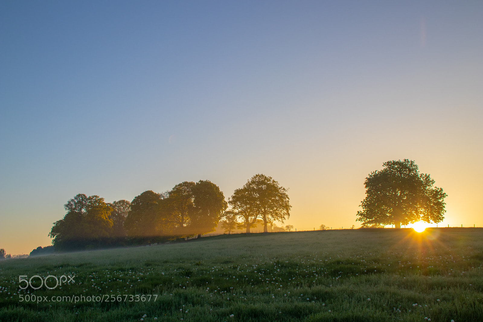 Canon EOS 77D (EOS 9000D / EOS 770D) sample photo. Sunrise over treeline and photography
