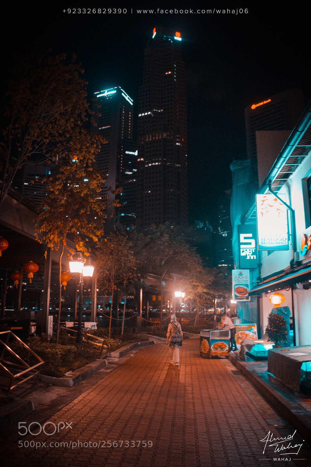 Nikon D7100 sample photo. Exploring boat quay photography