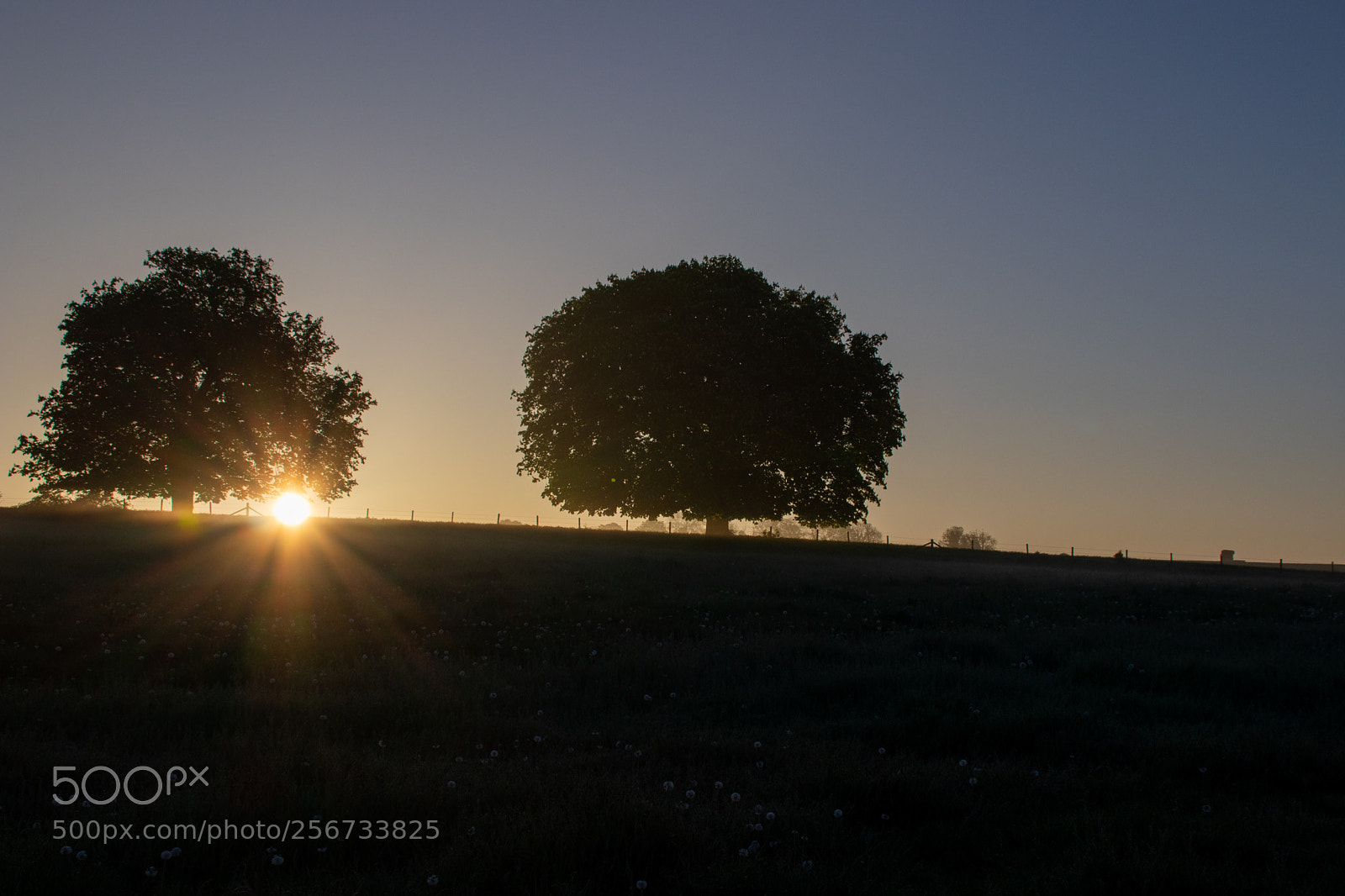 Canon EOS 77D (EOS 9000D / EOS 770D) sample photo. Sunrise over treeline photography