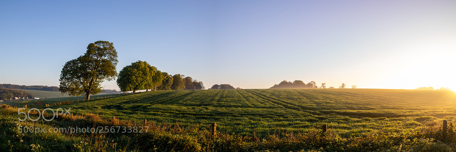 Canon EOS 77D (EOS 9000D / EOS 770D) sample photo. Rural field panorama photography