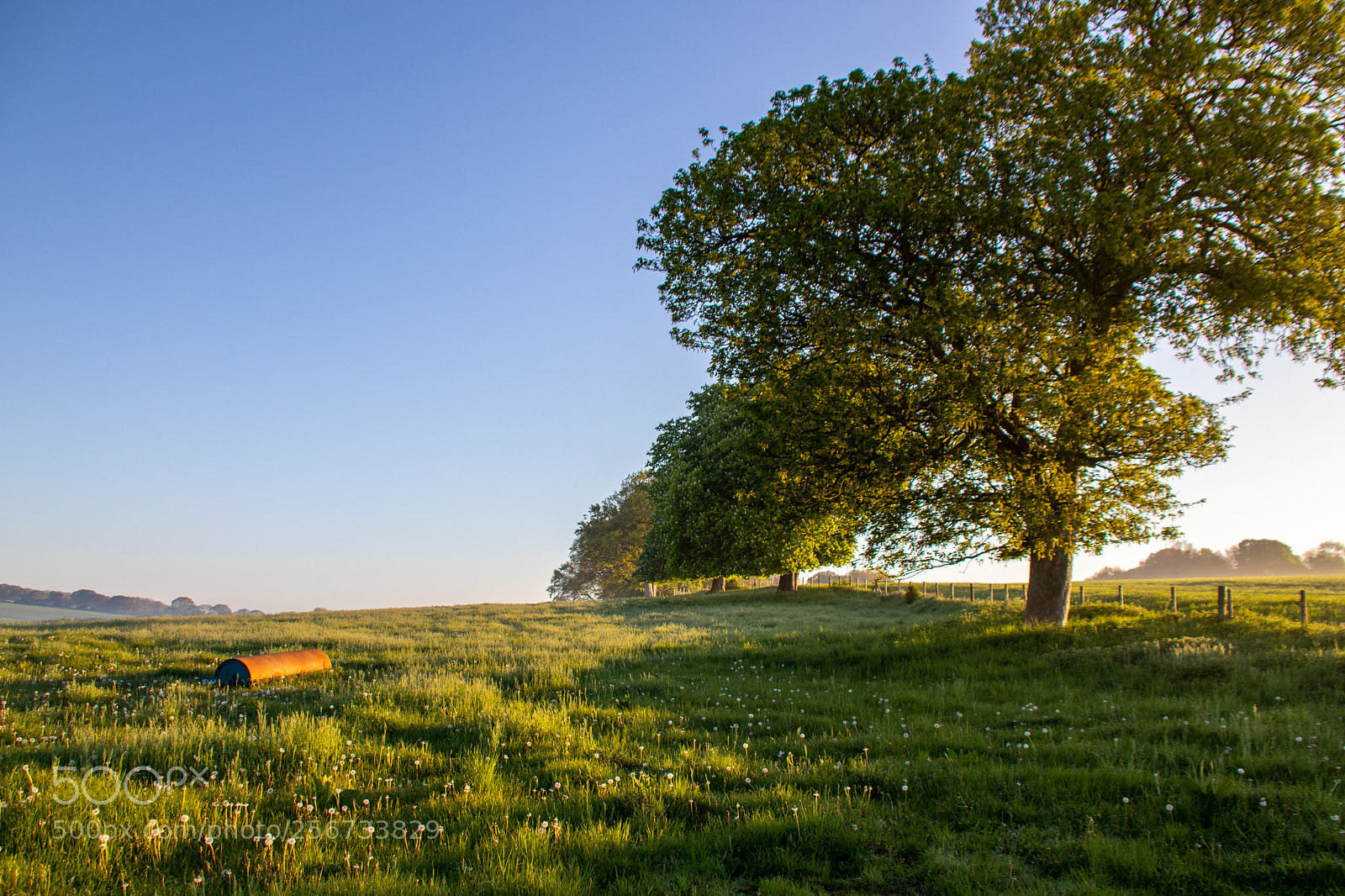 Canon EOS 77D (EOS 9000D / EOS 770D) sample photo. Sunrise over rural field photography