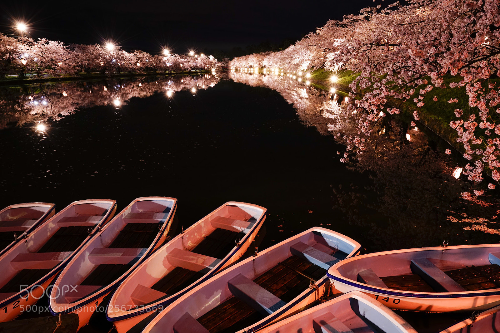 Sony a7R II sample photo. Full blooming night sakura photography