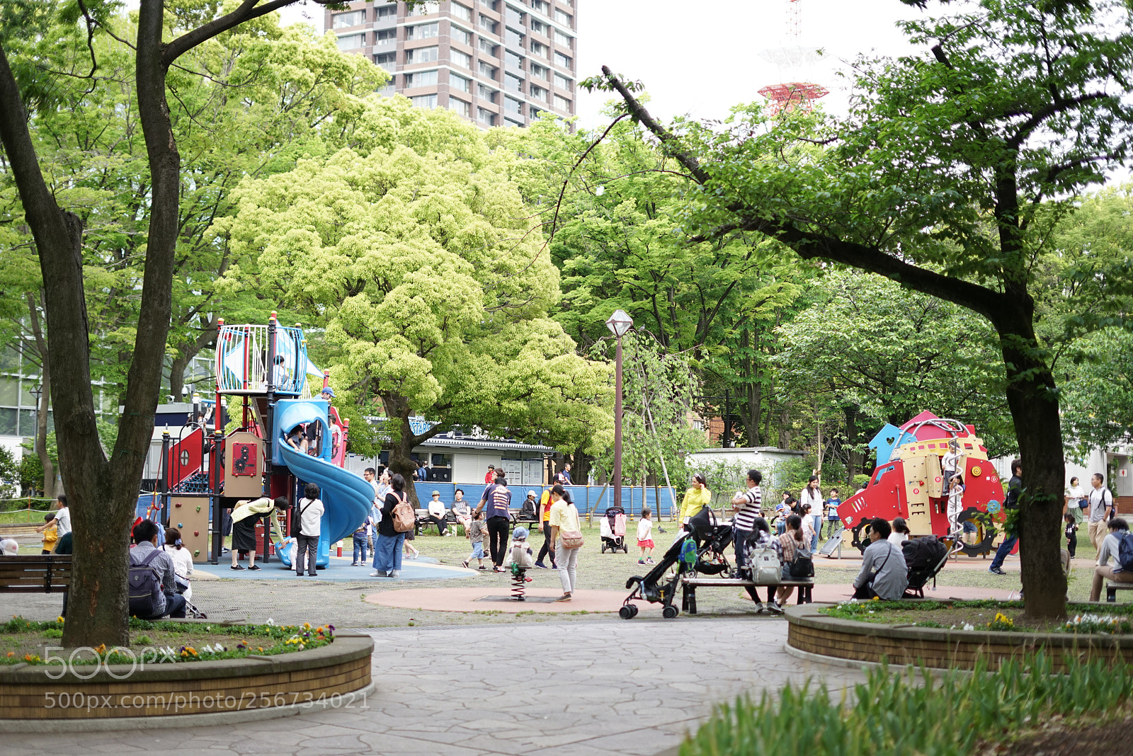 Sony a7R sample photo. Yokohama park photography