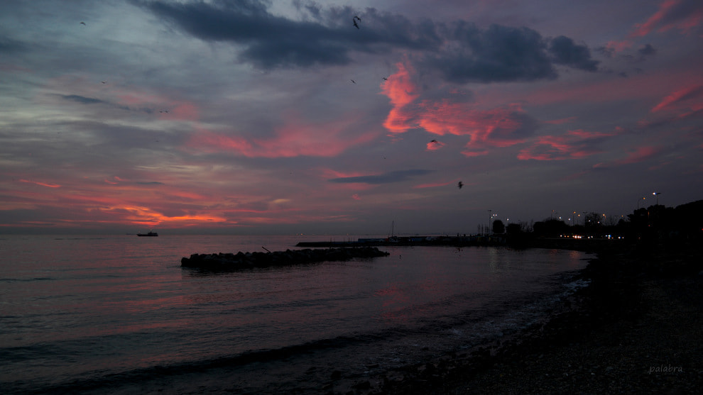 Samsung NX1 sample photo. ... photography