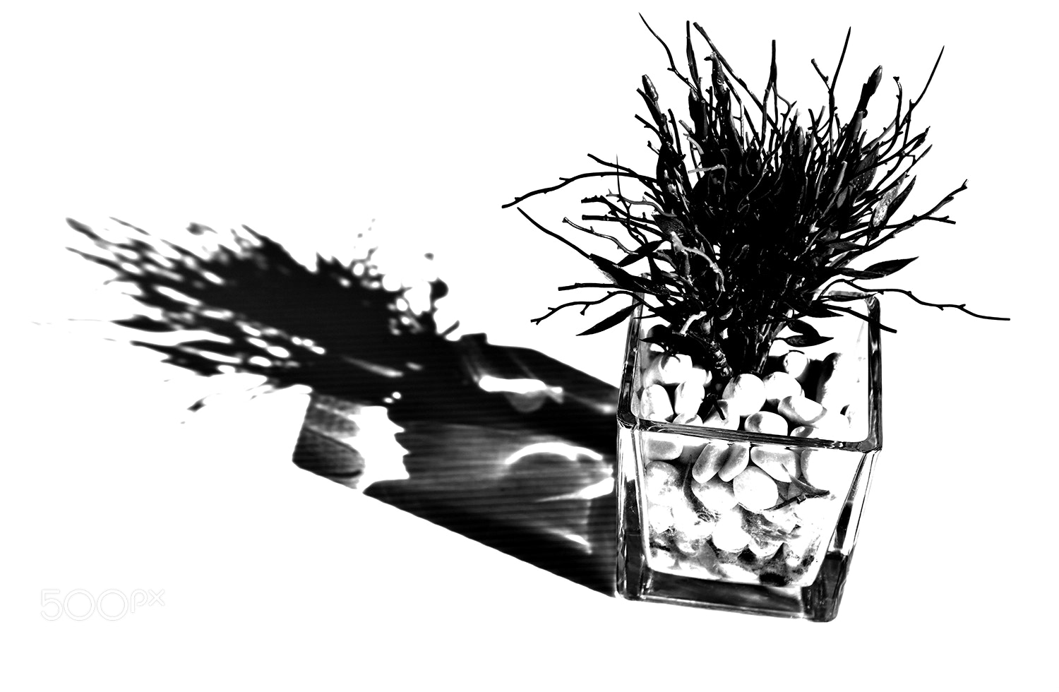 Nikon D800 sample photo. Art photography