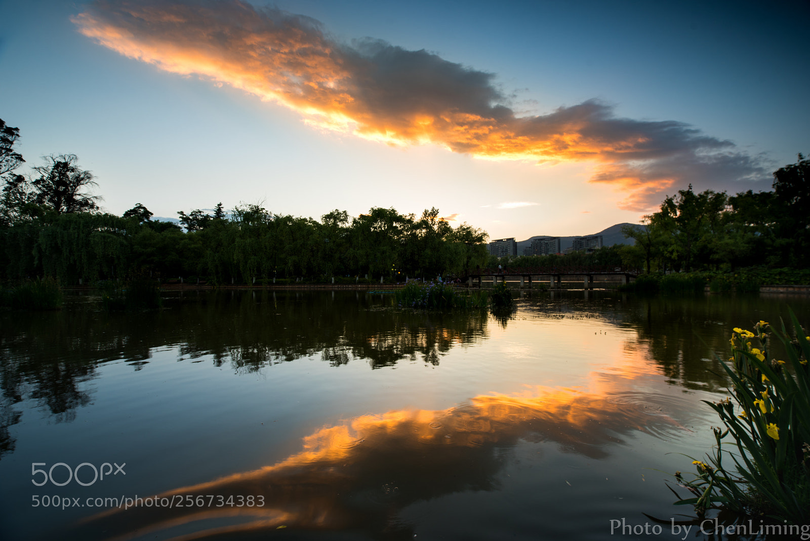 Nikon D750 sample photo. Sunset photography