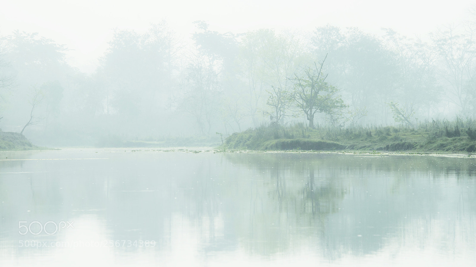 Nikon D610 sample photo. River photography