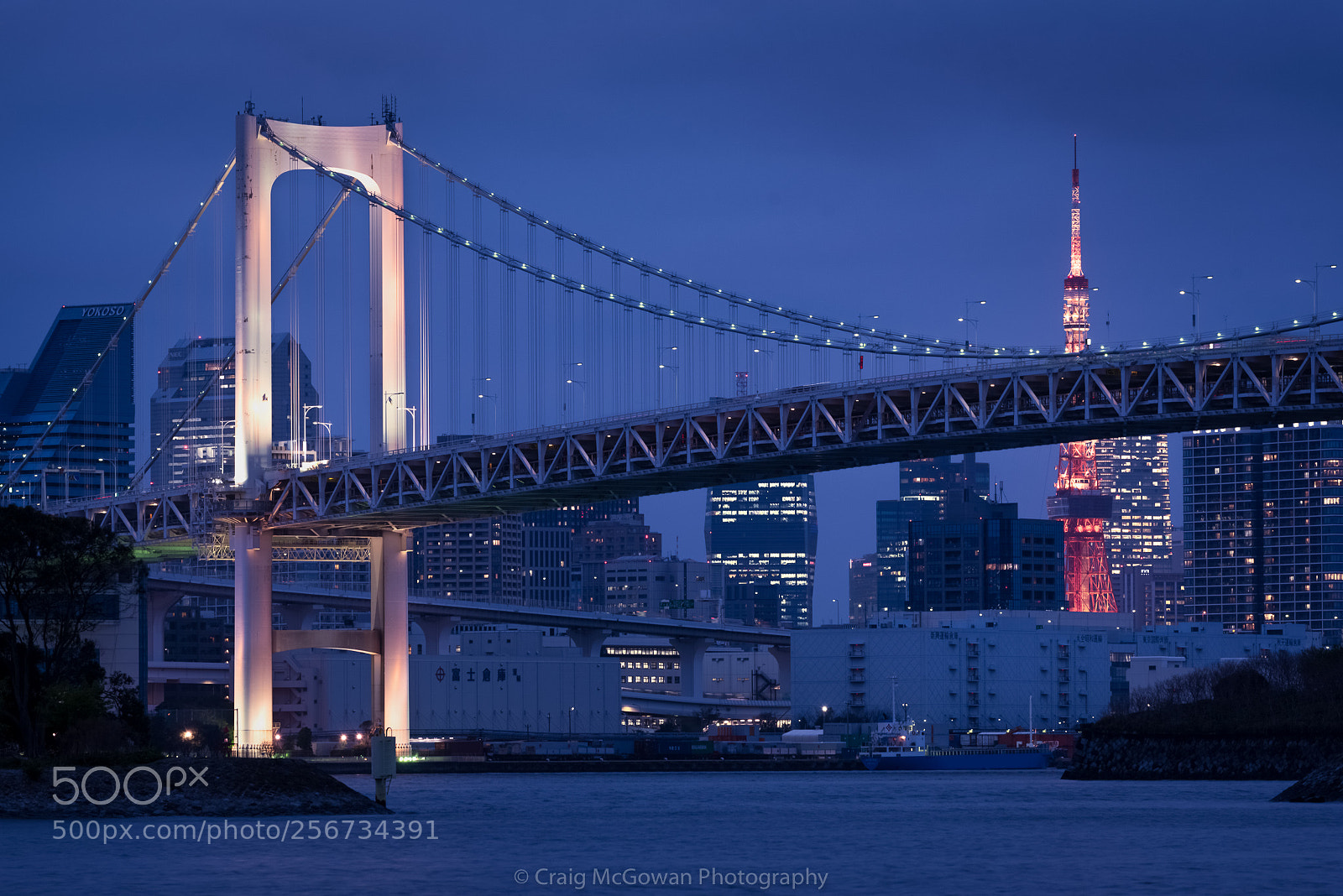 Nikon D750 sample photo. Blue hour tokyo photography