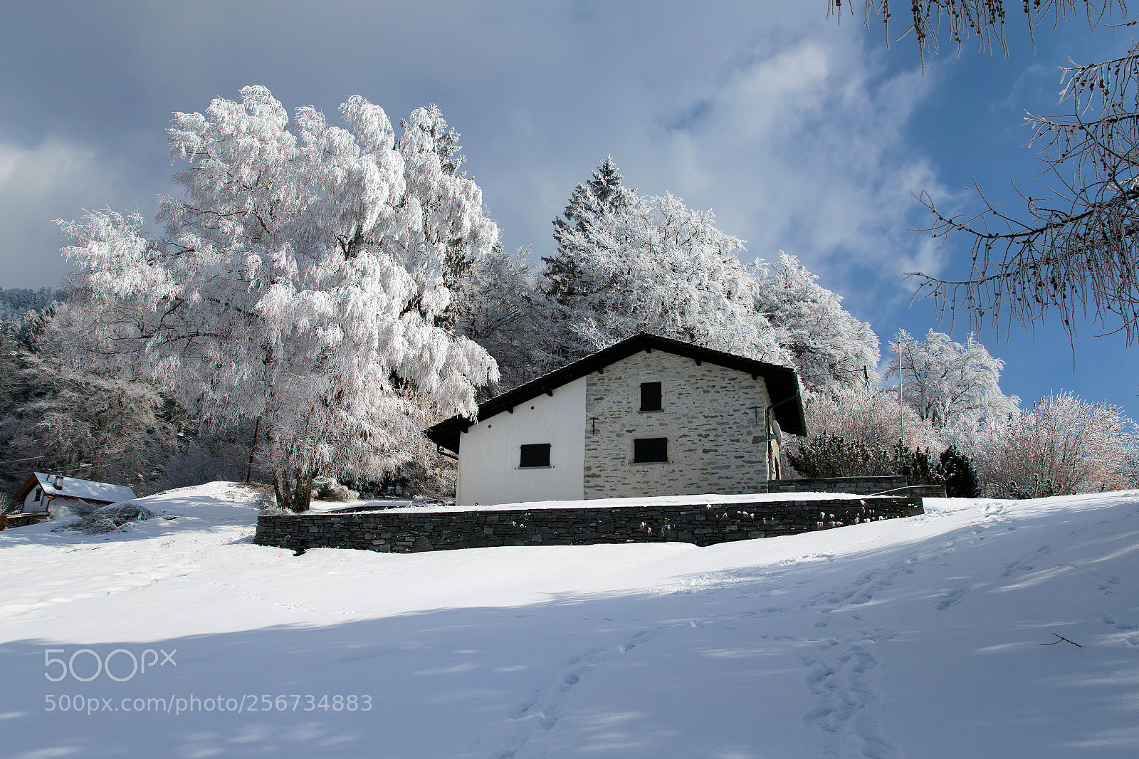 Canon EOS-1D X sample photo. Ticino photography