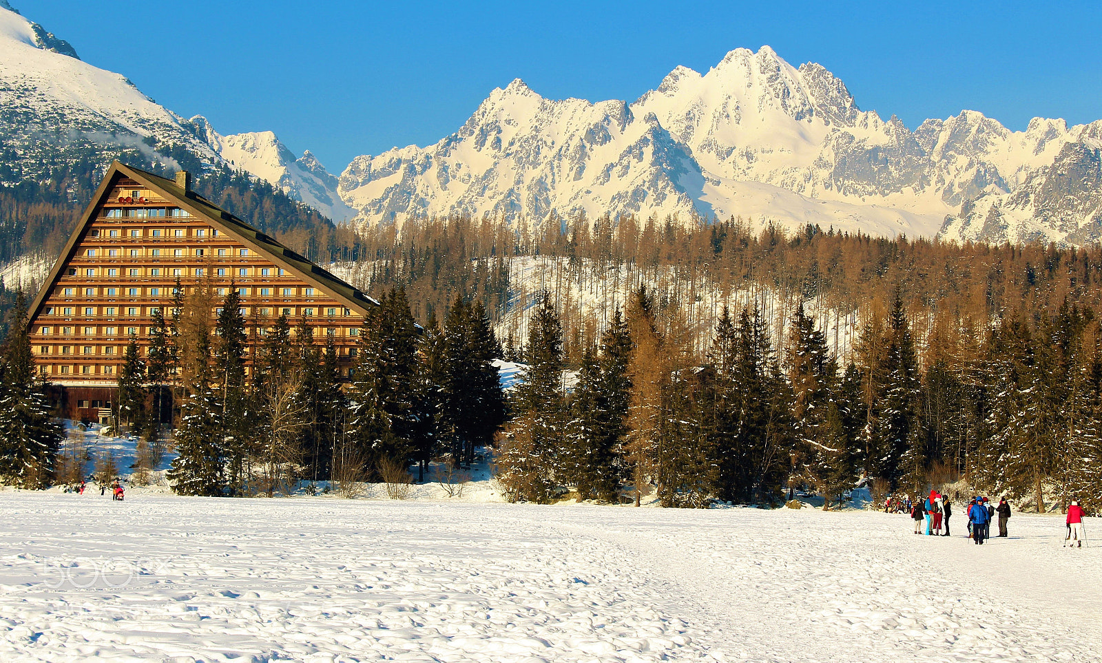 Canon EOS 1300D (EOS Rebel T6 / EOS Kiss X80) sample photo. Slovakia 2018 - frozen photography