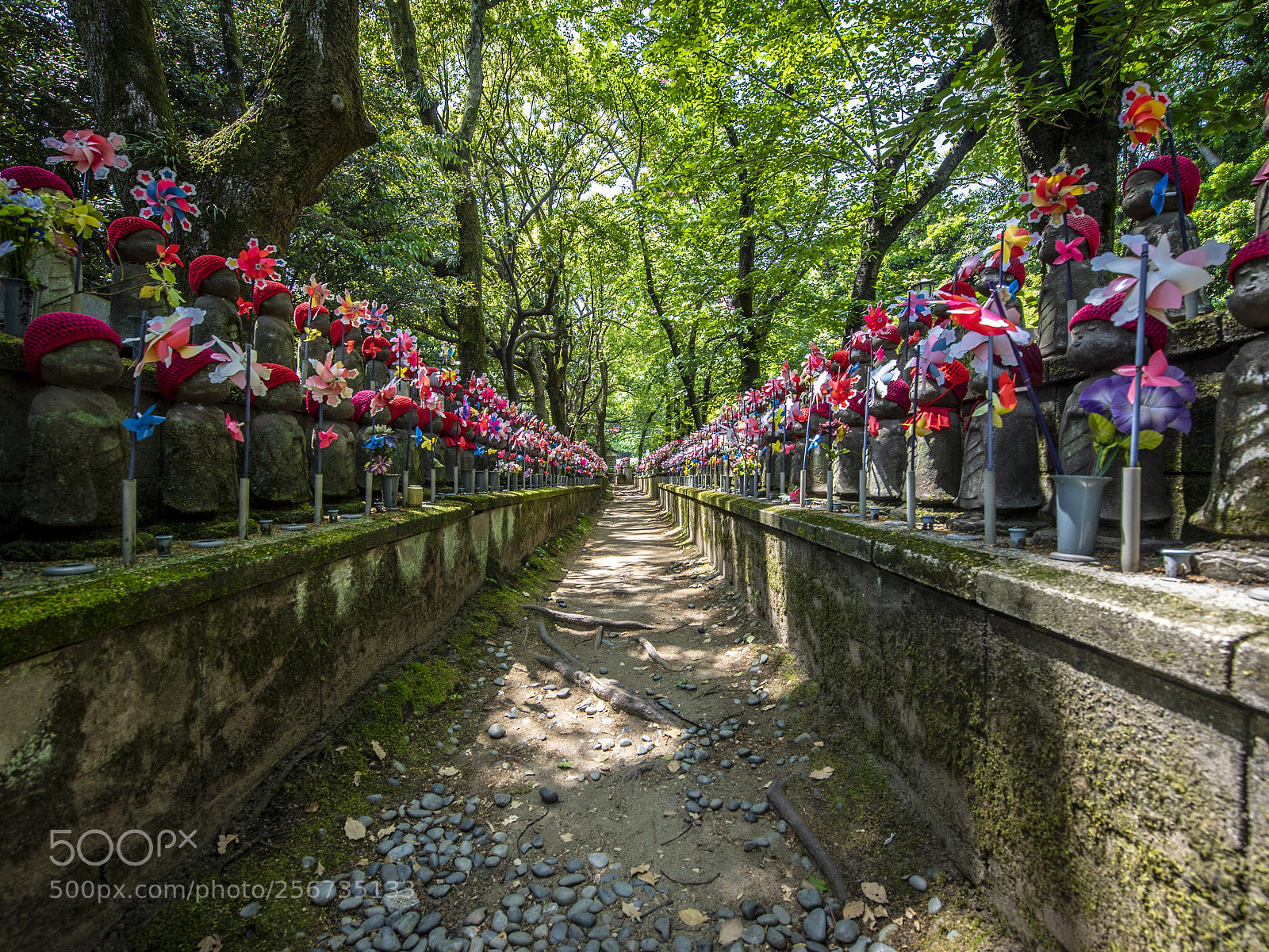 Nikon D5 sample photo. Zoujouji in tokyo photography