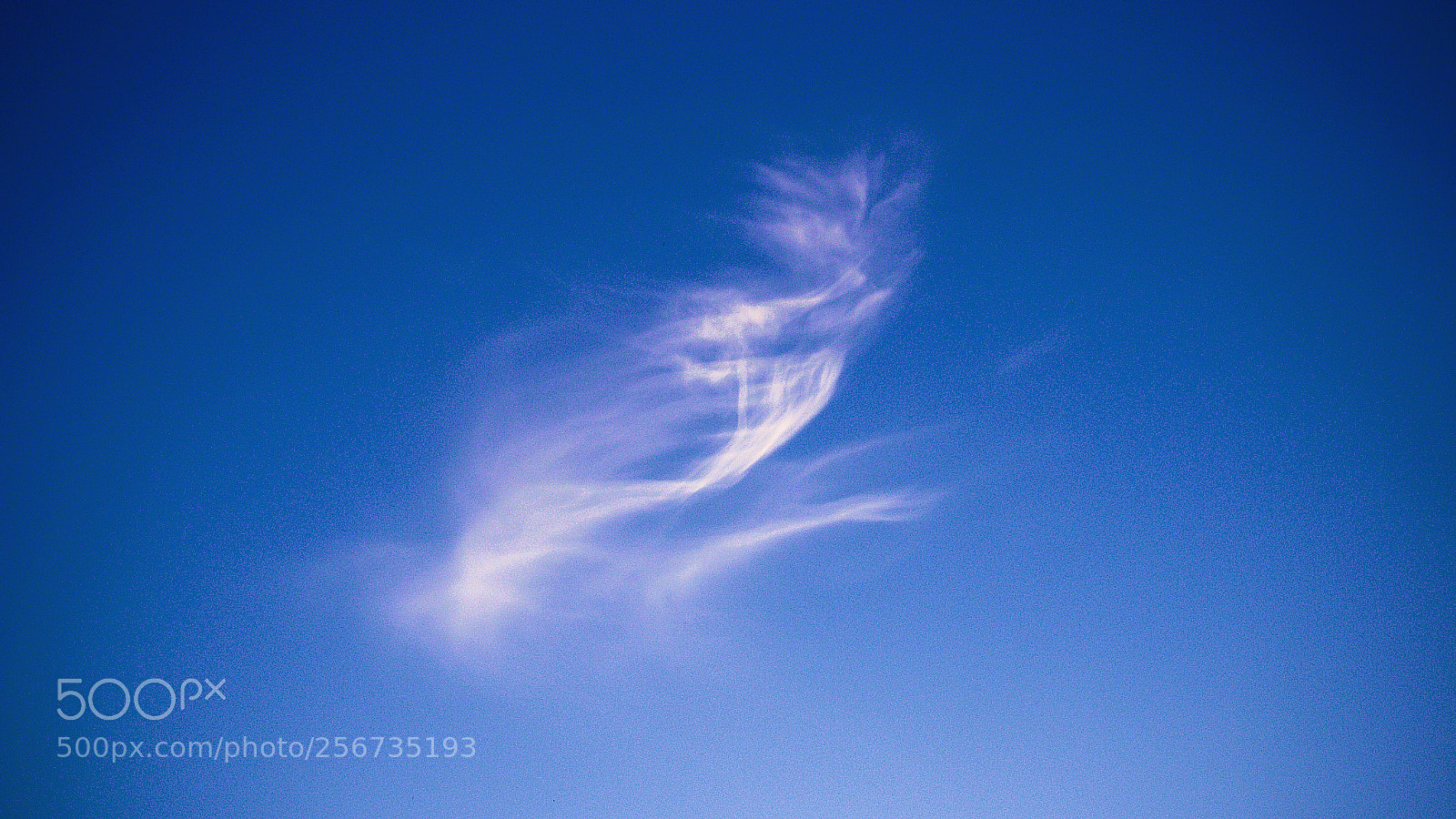 Canon EOS 70D sample photo. Cloud art photography