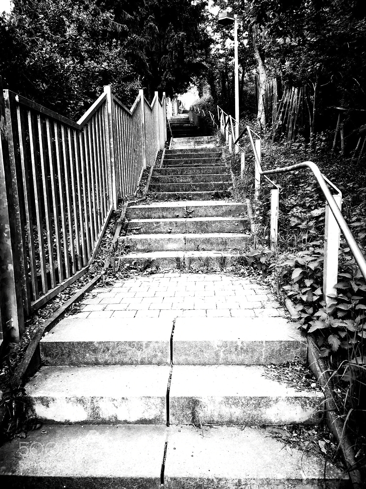 HUAWEI CLT-L29 sample photo. Untitled photography