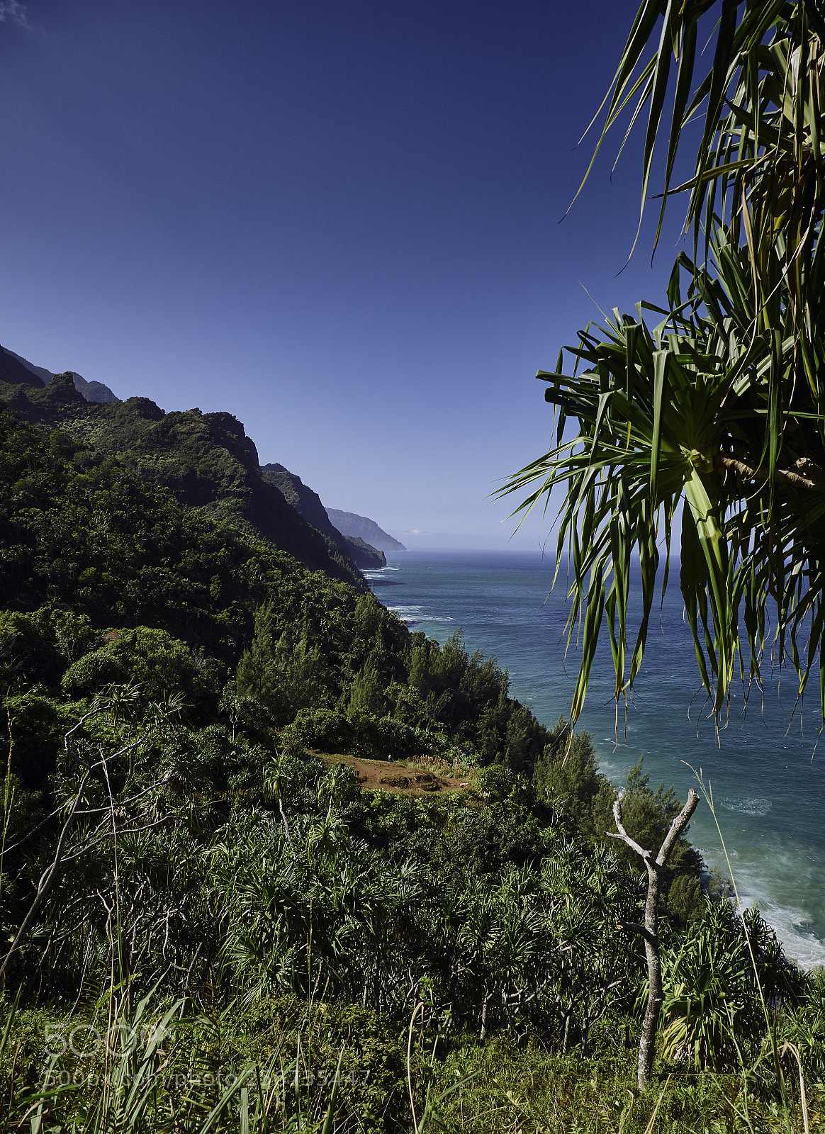 Panasonic Lumix DMC-G85 (Lumix DMC-G80) sample photo. Hawaiian coastline 6 photography