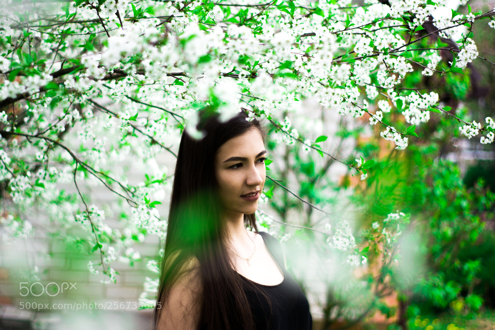 Nikon D5200 sample photo. Beautiful spring photography