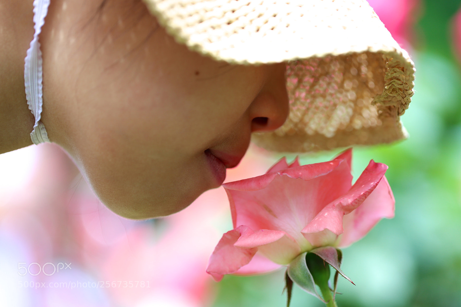 Canon EOS 6D sample photo. Scent of a rose photography