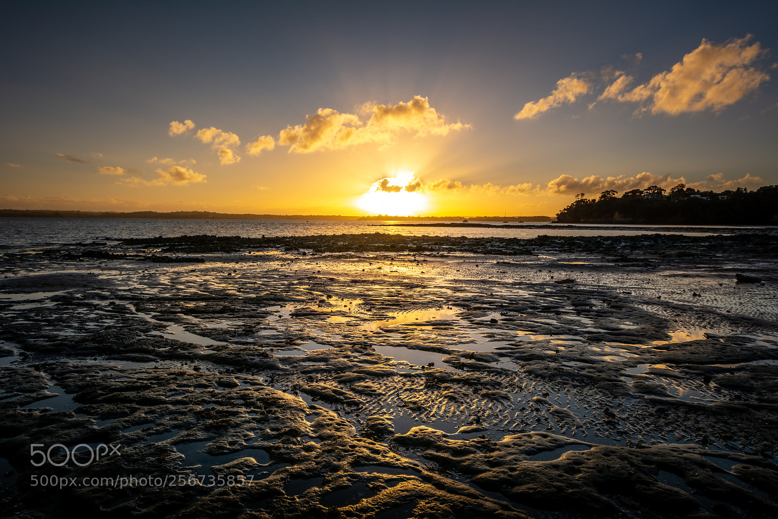 Nikon D7100 sample photo. Muddy beach photography