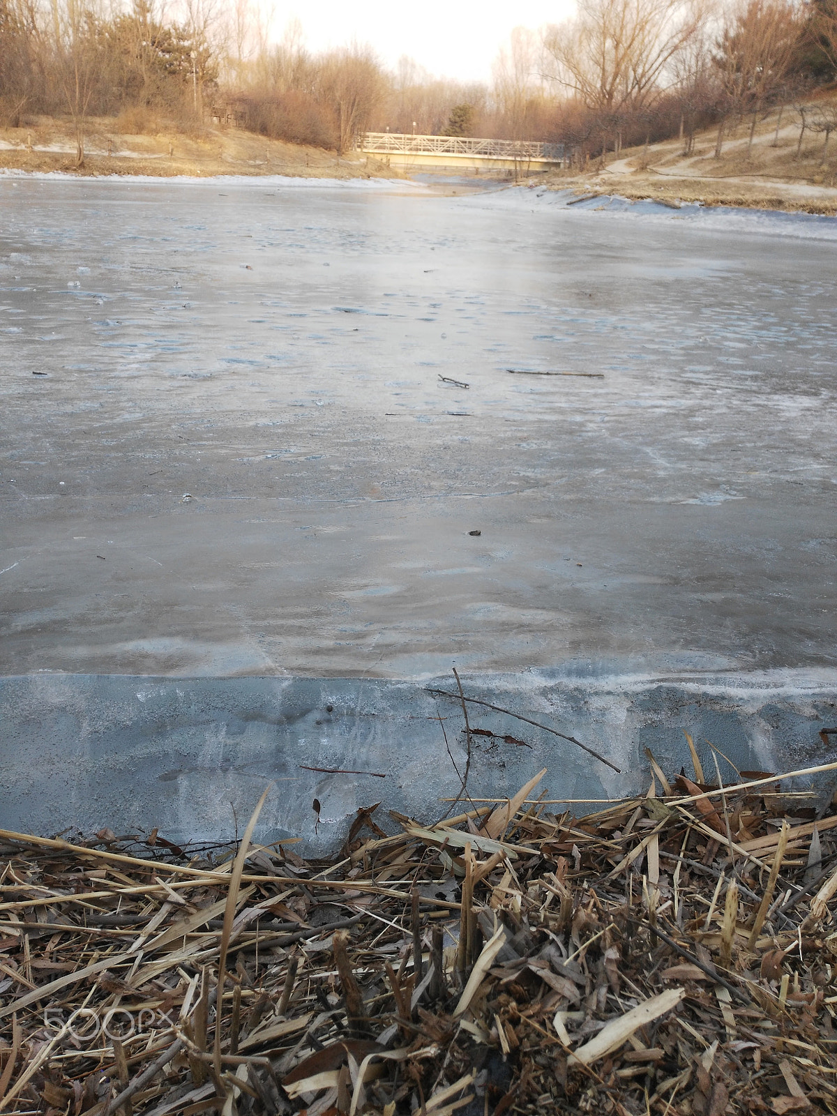 HUAWEI Honor 7i sample photo. Iced water in the forest park, beijing photography