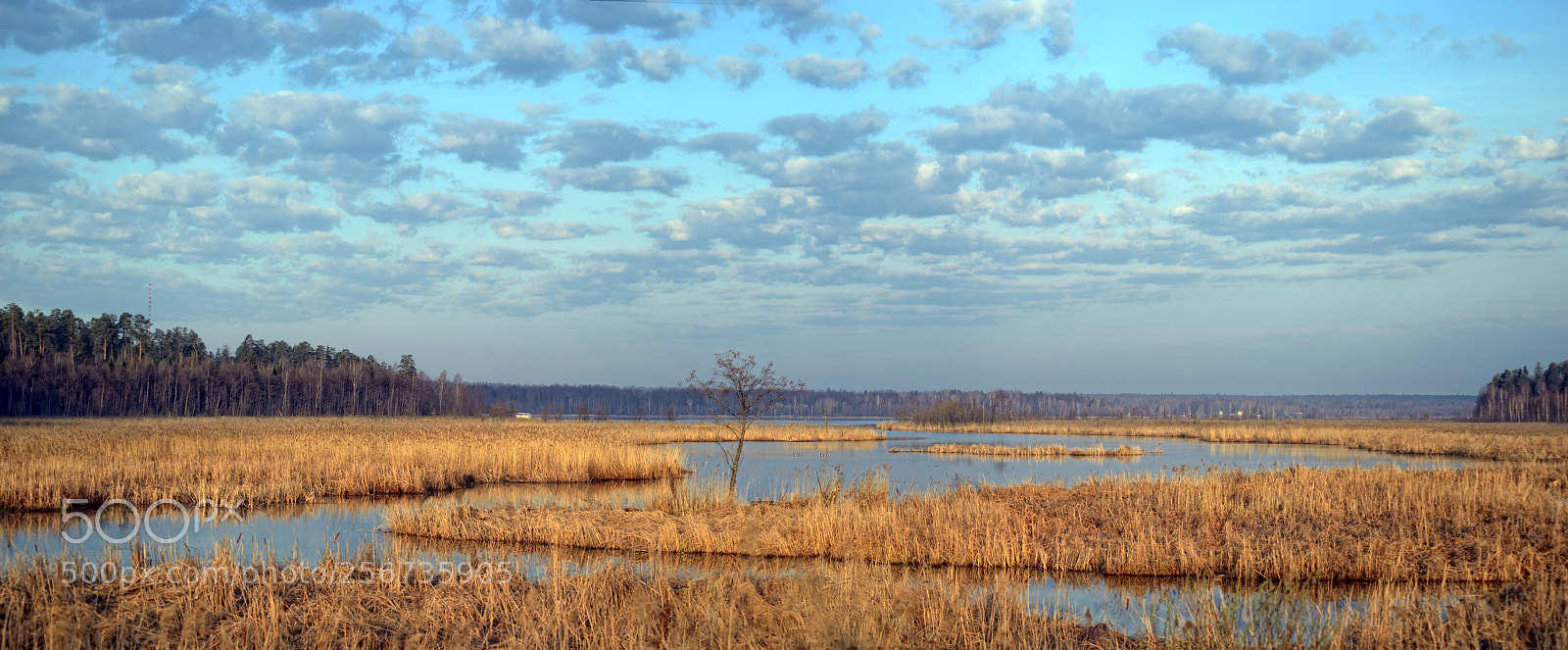 Nikon Df sample photo. Stitched panorama photography